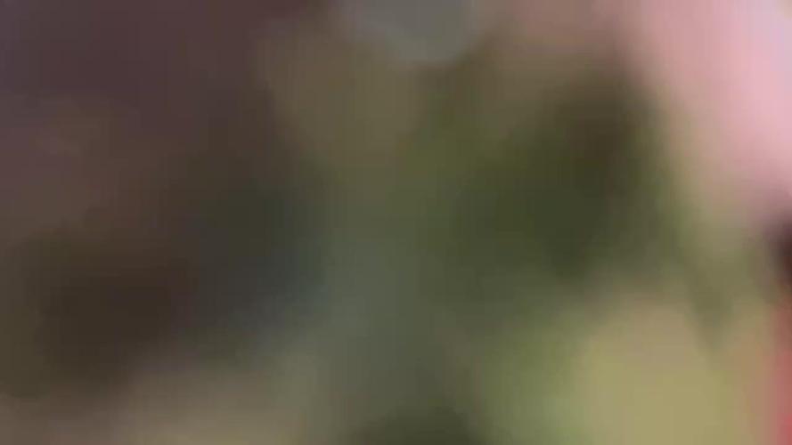 AutoUltimate by DutchPassion