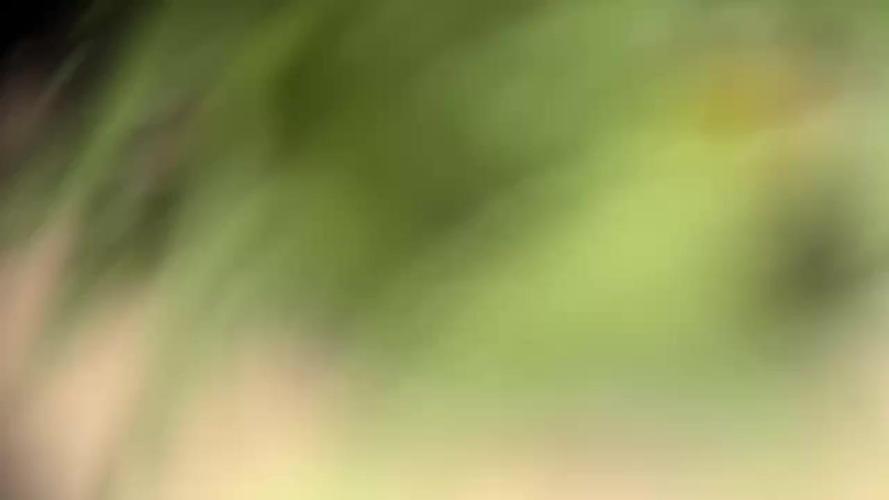 Pink Rozay Auto by Zamnesia