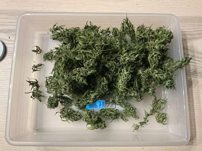 Grease Monkey Auto by Zamnesia. Week 12