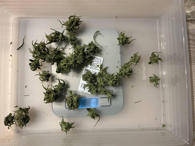 Titan F1 by RQS. Week 12