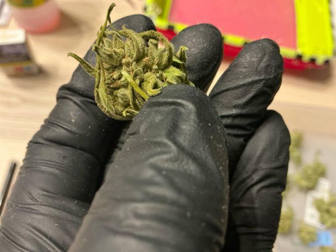 Titan F1 by RQS. Week 12