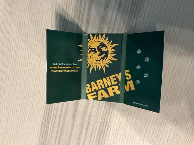 GARLIC COOKIES BY BARNEY'S FARM. Week 0