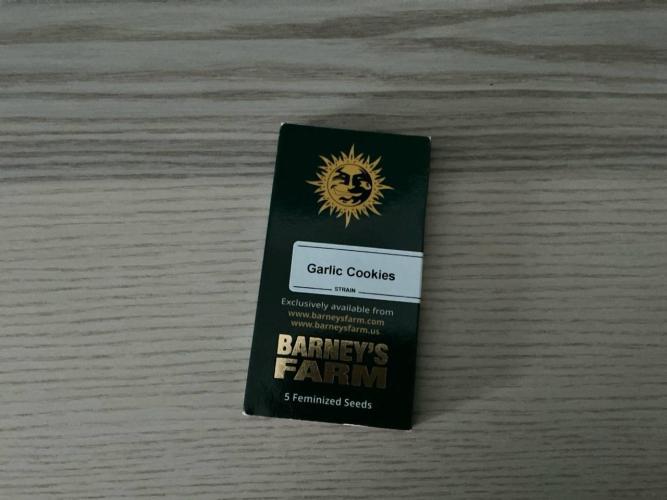 GARLIC COOKIES BY BARNEY'S FARM. Week 0