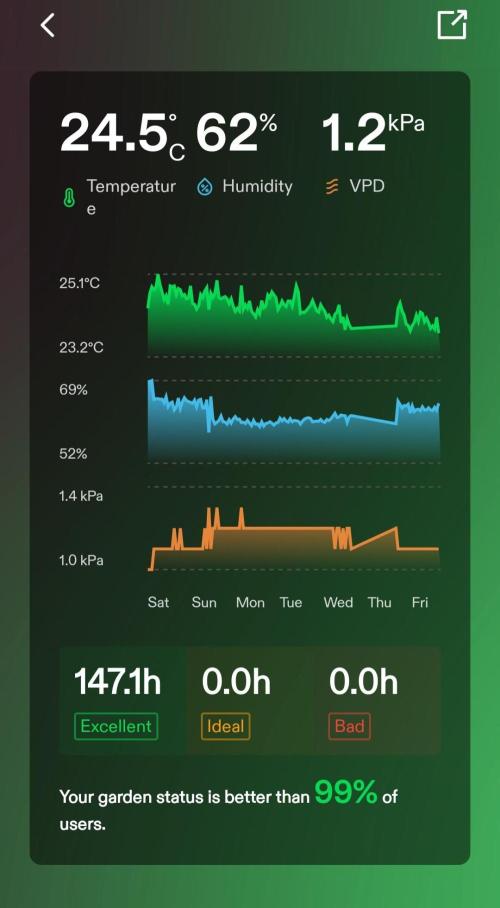 Santa Marta Haze Auto. Week 6