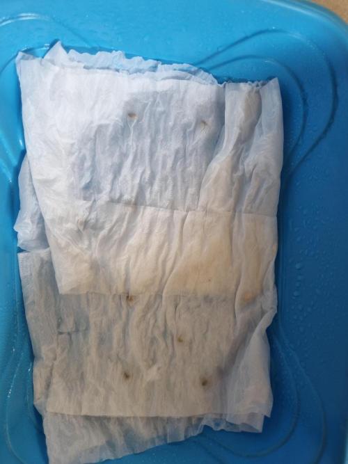 Mixed run of reg seeds. Week 0