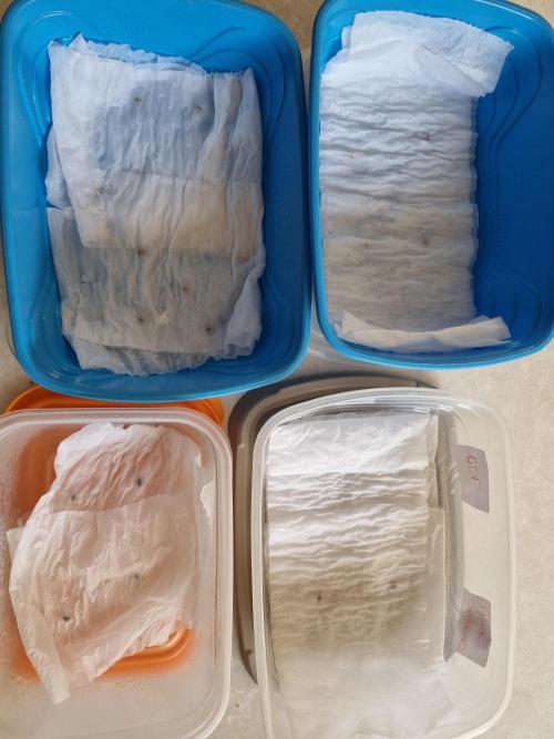 Mixed run of reg seeds. Week 0