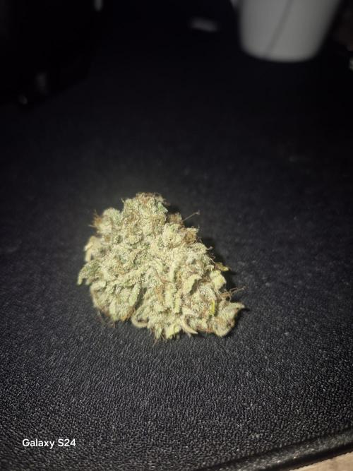 Mephisto : Bear Knuckles. Week 11