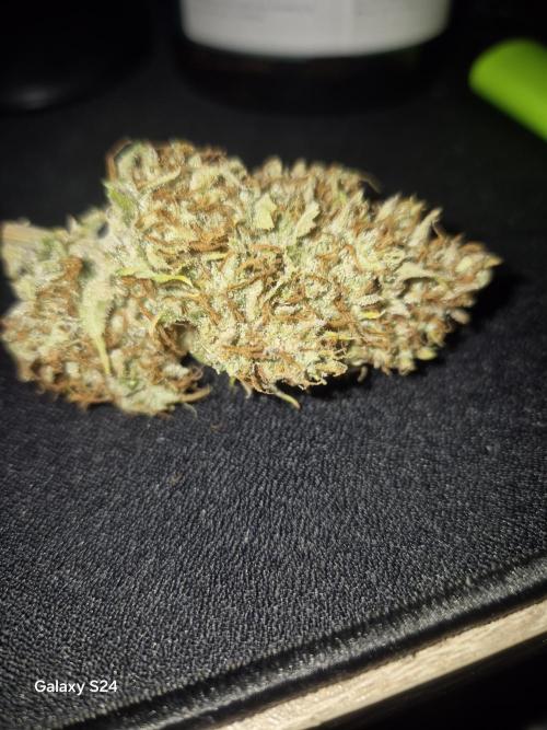 Mephisto : Bear Knuckles. Week 11