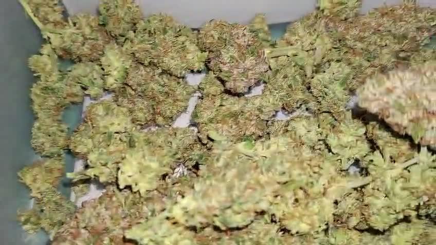 2025 - Epsilon F1 - LST, Topping, SCROG