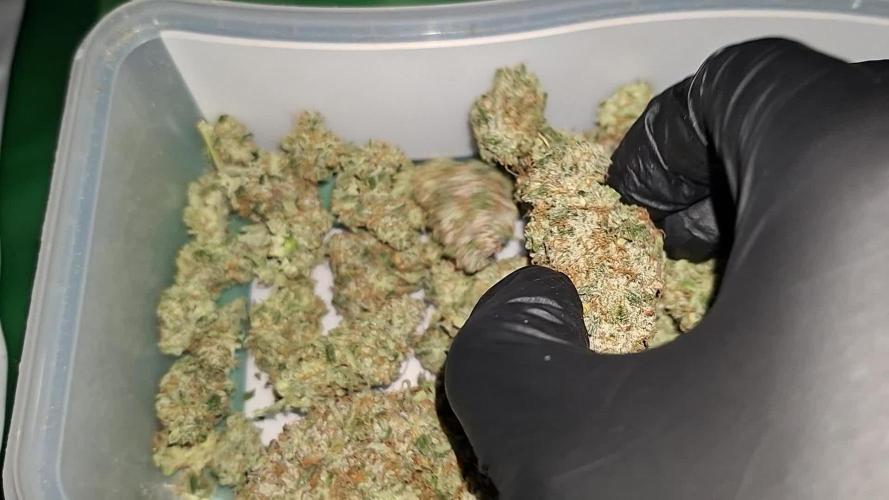 2025 - Epsilon F1 - LST, Topping, SCROG