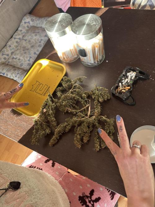 Box 2 femm seriously. Week 16