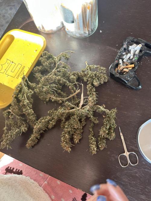 Box 2 femm seriously. Week 16