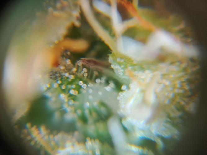 Quick One | Indoor. Week 12