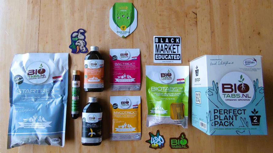 Royal Critical | Indoor | Wintergrow. Week 0