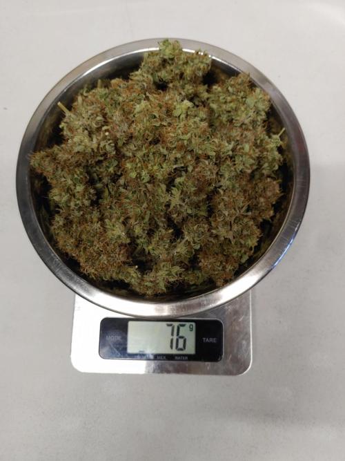 Quick One | Indoor | Grow #4. Week 11 - Plant #2