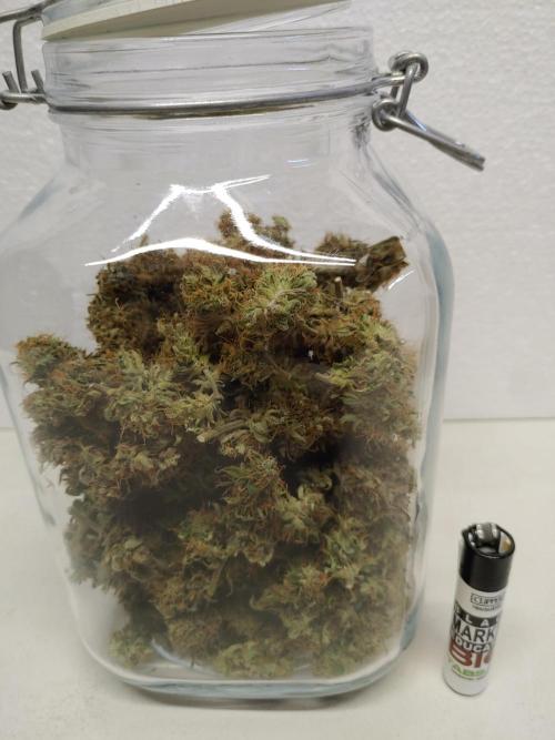 Quick One | Indoor | Grow #4. Week 11 - Plant #2