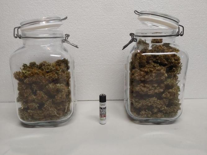 Special Queen #1 | Indoor | Grow #4. Week 12 - Left: #2, Right: #1