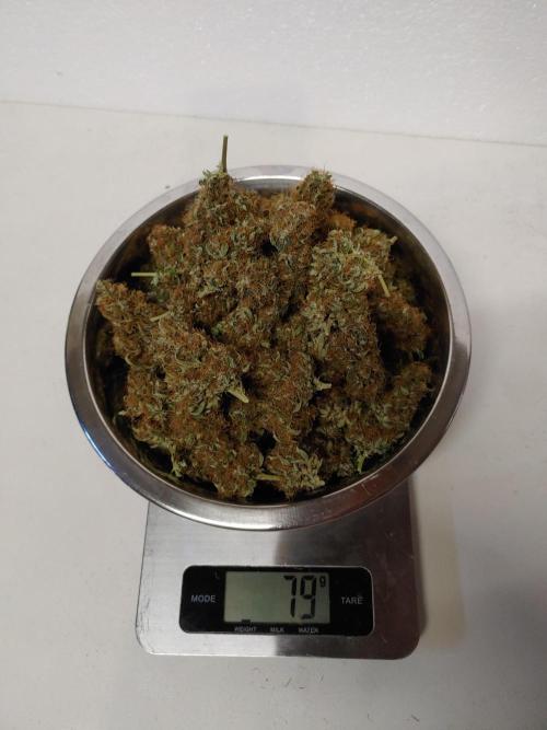 Special Queen #1 | Indoor | Grow #4. Week 12 - Plant #2
