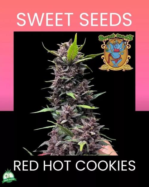 Red Hot Cookies. Week 0
