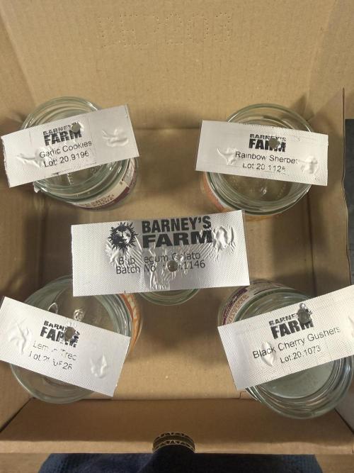 Barneys. Week 0