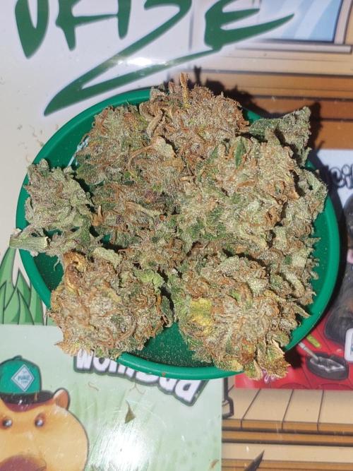 Divine Seeds Auto Moon Rock. Week 13