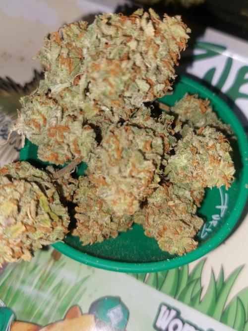 Divine Seeds Auto Divine Rapier. Week 13