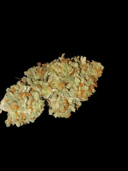 Divine Seeds Auto Divine Rapier. Week 13