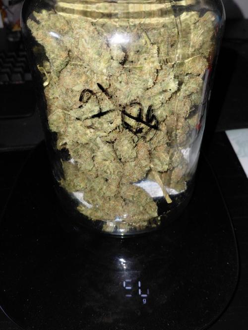 Spliff's Strawberry. Week 18 - It says 50g