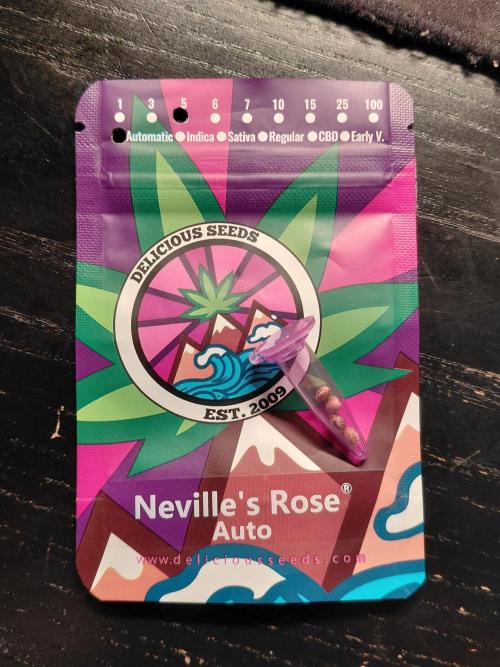 Delicious Seeds' Neville's Rose Auto OD. Week 0
