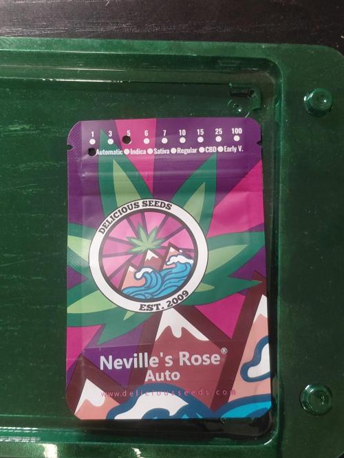 Neville's Rose Auto. Week 0