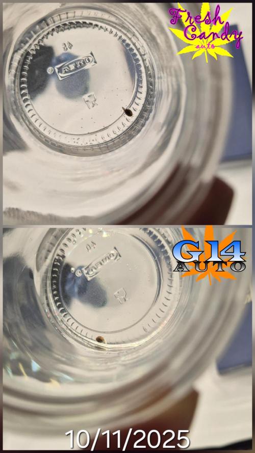 3x AUTOFLOWER tryout. Week 0