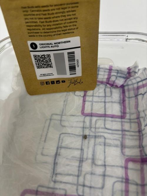 The second grow, winter is coming. Week 0