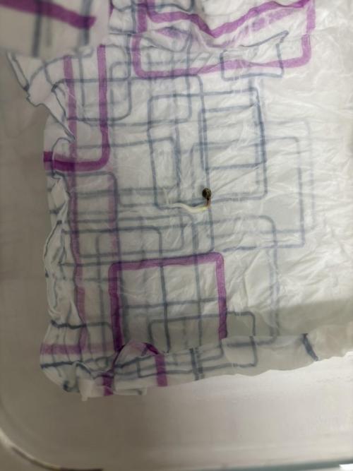 The second grow, winter is coming. Week 0