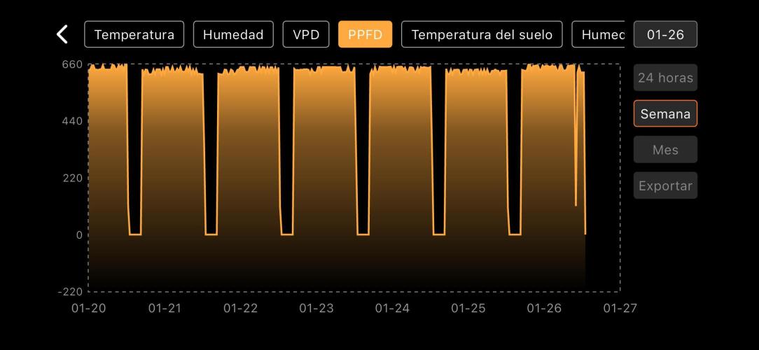 The second grow, winter is coming. Week 8