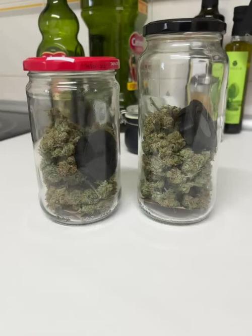 The second grow, winter is coming