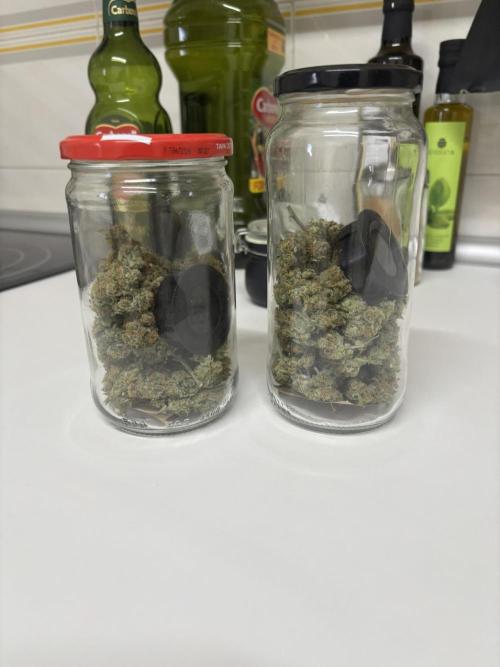 The second grow, winter is coming. Week 10