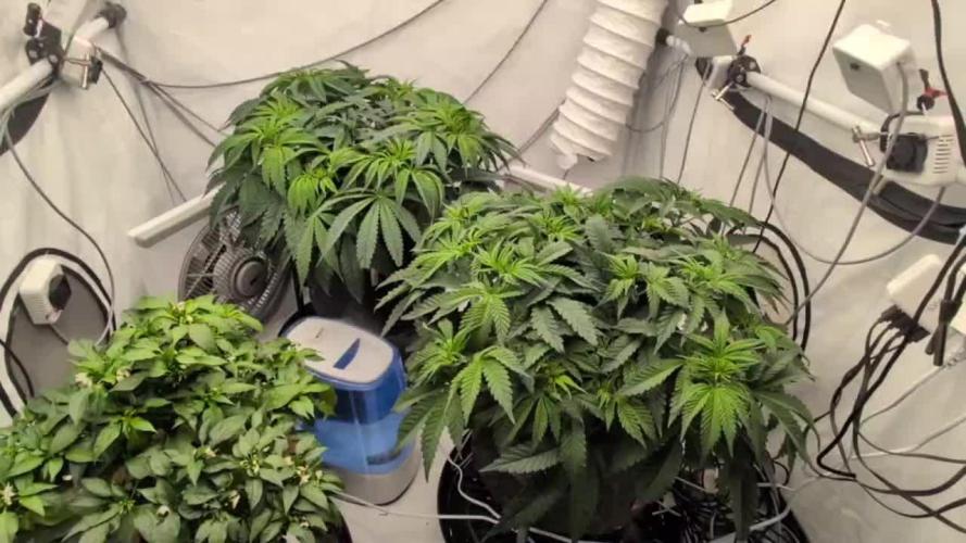 Gorilla Super Glue - SSSC