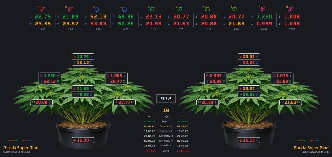 Gorilla Super Glue - SSSC. Week 9 - My Interface