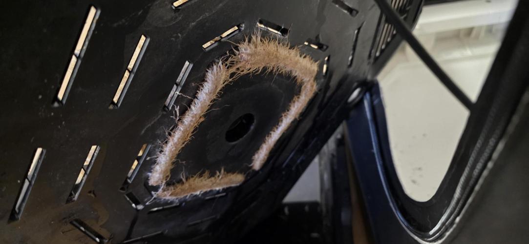 First VGrow - Kawazaki im Smart Zelt. Week 15