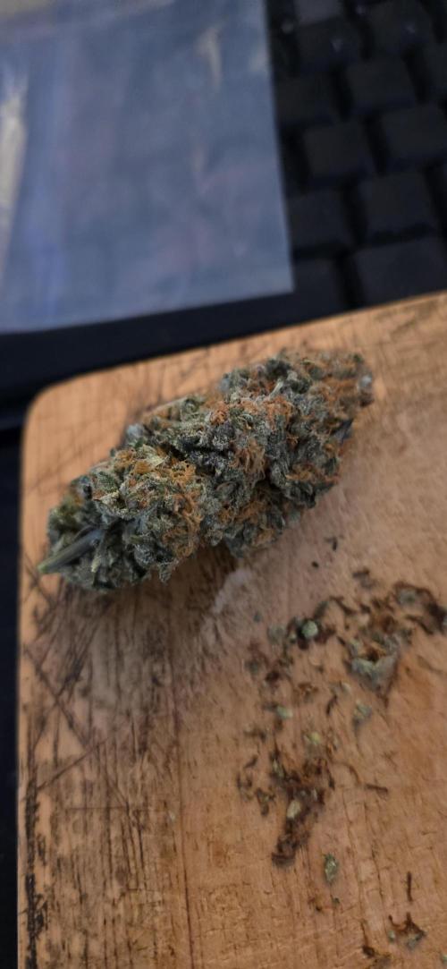 First VGrow - Kawazaki im Smart Zelt. Week 15