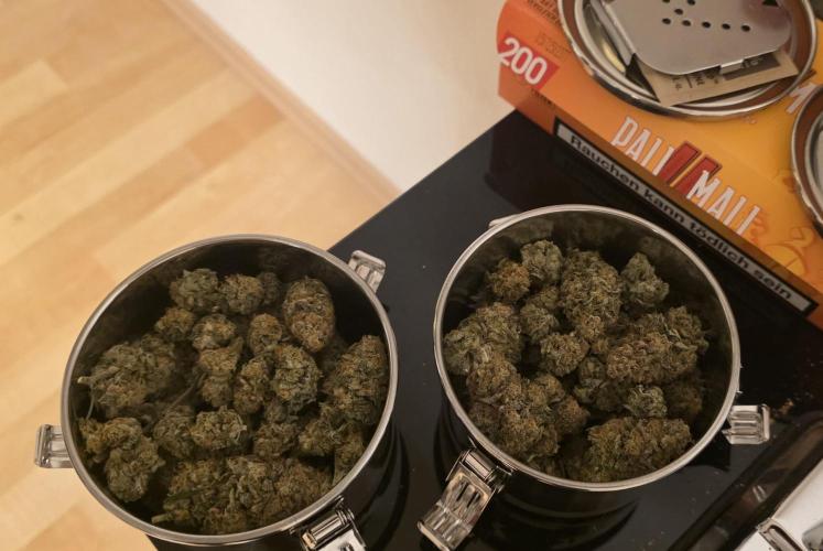 First VGrow - Kawazaki im Smart Zelt. Week 15