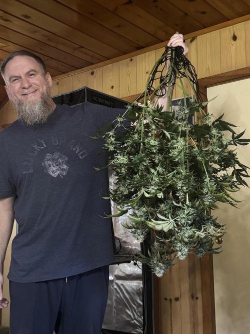 Orange Sherbet FF. Week 11 - Ready to hang this one. 