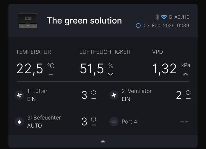 First DWC grow (third try). Week 5