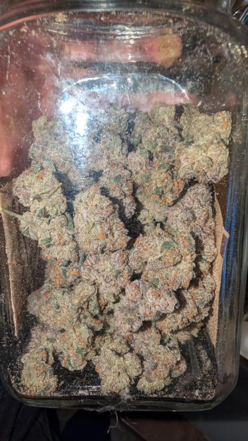 ce Cream Runtz & a little Sour Fraise. Week 21