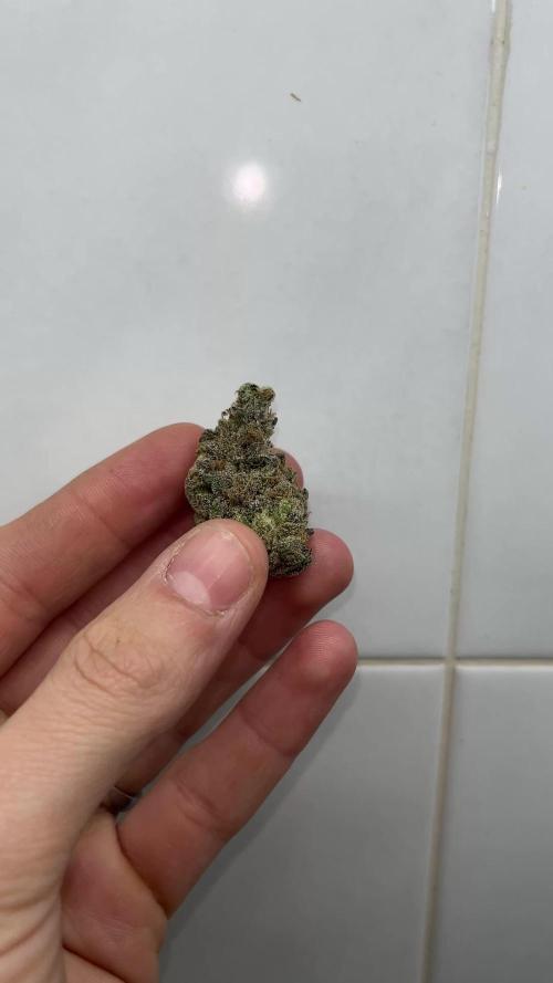 Marimberos- Double Vizion (spritzer)