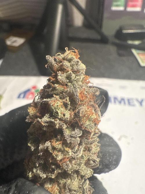 The Rabbit Hole. Week 17