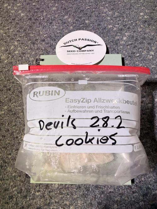 Devils Cookies (SSSC US Strain Cup). Week 0 - Letz Go 28.2 