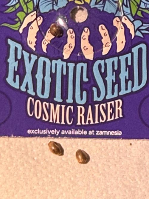 Cosmic Raiser. Week 0