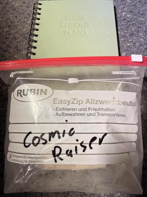 Cosmic Raiser. Week 0