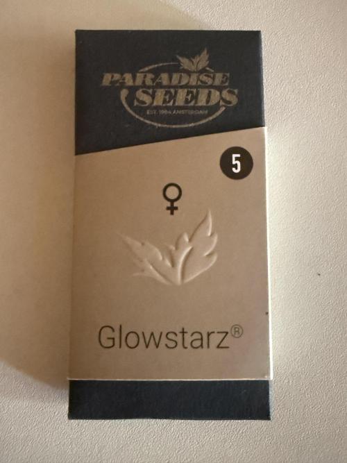 Glowstarz by Paradise Seeds. Week 0